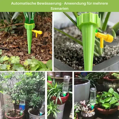 Consistent Plant Nourishment